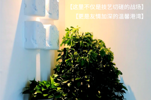 介绍一款“微乐捉鸡麻将究竟是如何开挂”万能开挂器通用版