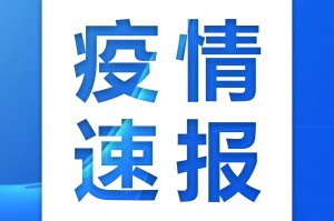 「31省新增11例确诊均为境外输入」〃31省份新增21例确诊 均为境外输入