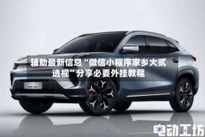 辅助最新信息“微信小程序家乡大贰透视”分享必要外挂教程