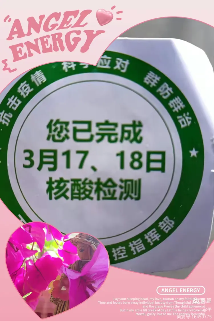 沈阳市最新疫情情况〃沈阳市疫情最新数据-第2张图片