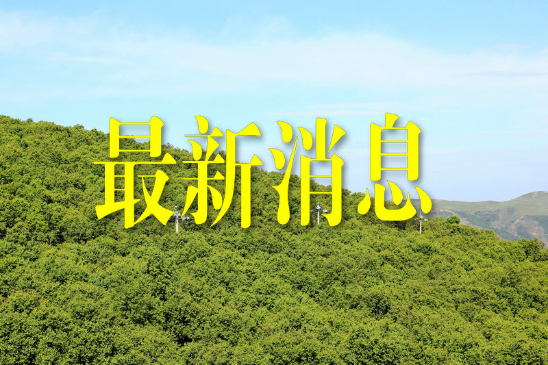 “河北昨日新增4例本土确诊” 河北昨日新增确诊病例4例 引发担忧？-第1张图片