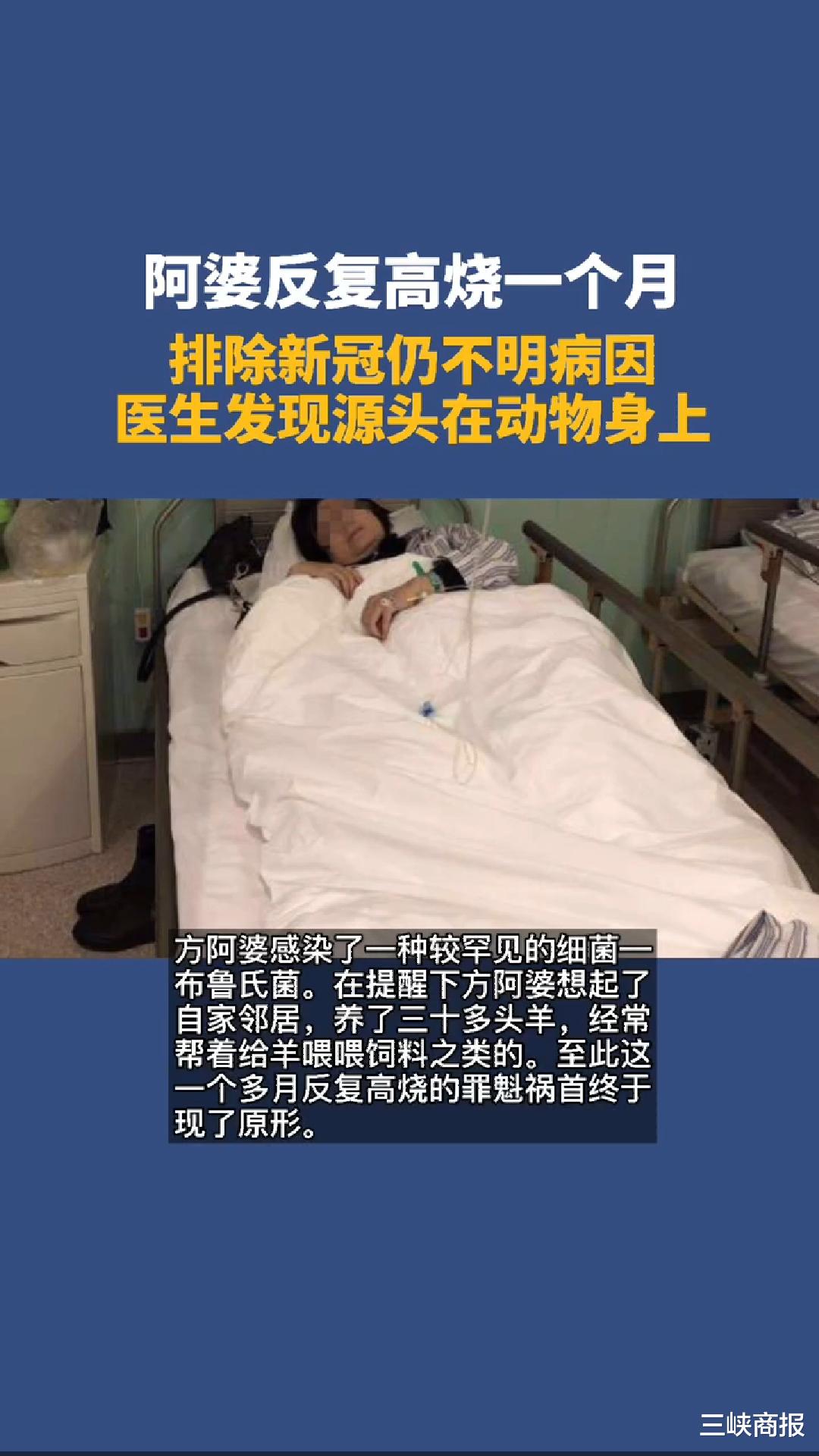 疫情源头一家4口感染,国内一家四口感染新冠-第1张图片