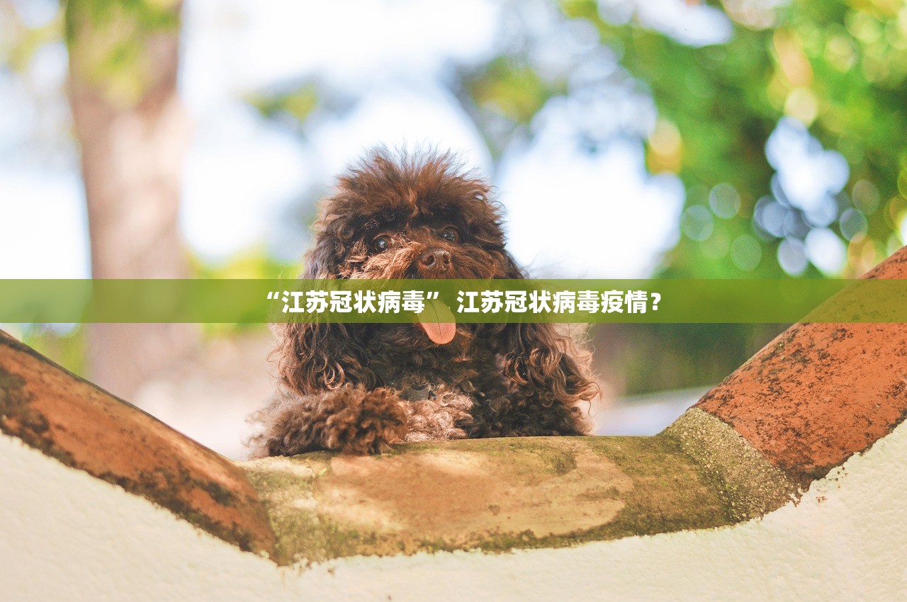 山东新增本土无症状6例︰(山东新增4例本土无症状)-第2张图片