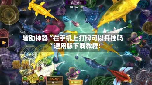 辅助神器“在手机上打牌可以开挂吗”通用版下载教程!-第3张图片