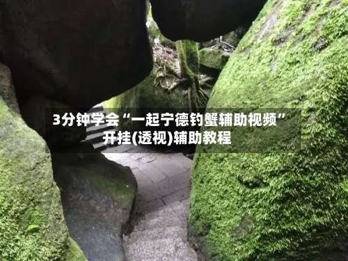 3分钟学会“一起宁德钓蟹辅助视频	”开挂(透视)辅助教程-第2张图片