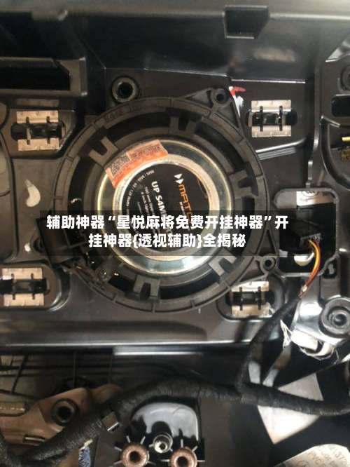 辅助神器“星悦麻将免费开挂神器”开挂神器{透视辅助}全揭秘-第1张图片