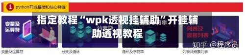 指定教程“wpk透视挂辅助		”开挂辅助透视教程-第2张图片