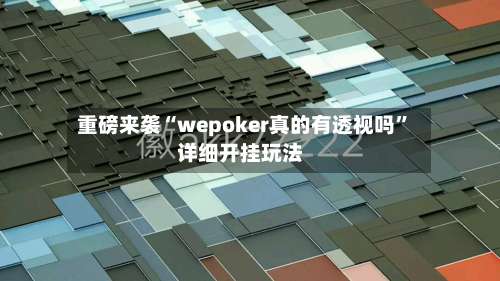 重磅来袭“wepoker真的有透视吗	”详细开挂玩法-第2张图片
