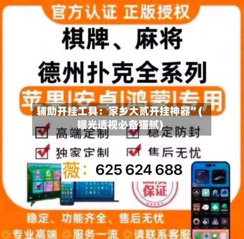 辅助开挂工具：家乡大贰开挂神器	”(曝光透视必备猫腻)-第1张图片