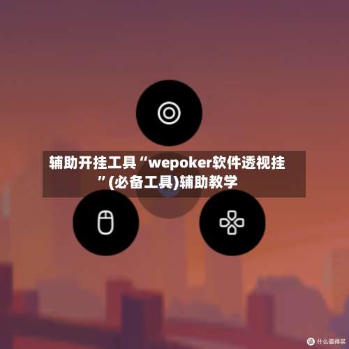 辅助开挂工具“wepoker软件透视挂”(必备工具)辅助教学-第3张图片