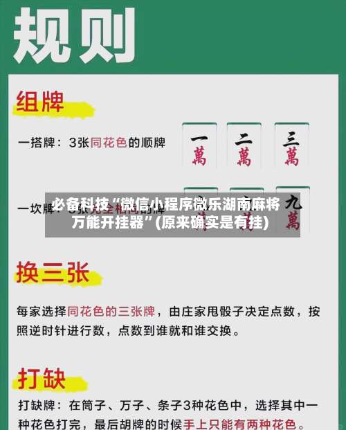 必备科技“微信小程序微乐湖南麻将万能开挂器	”(原来确实是有挂)-第1张图片