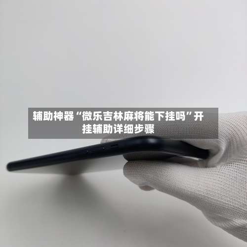 辅助神器“微乐吉林麻将能下挂吗	”开挂辅助详细步骤-第3张图片