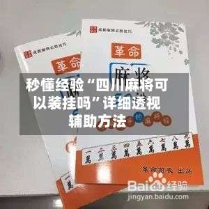 秒懂经验“四川麻将可以装挂吗	”详细透视辅助方法-第2张图片