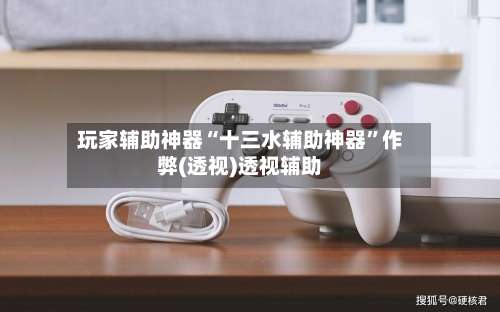 玩家辅助神器“十三水辅助神器	”作弊(透视)透视辅助-第1张图片