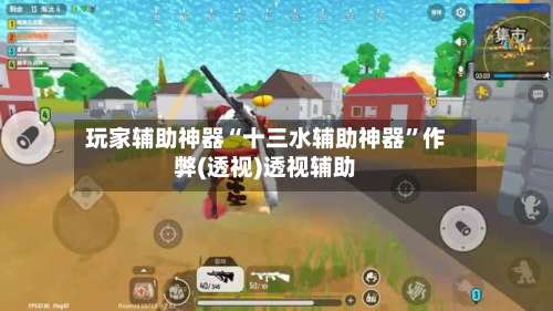 玩家辅助神器“十三水辅助神器	”作弊(透视)透视辅助-第3张图片