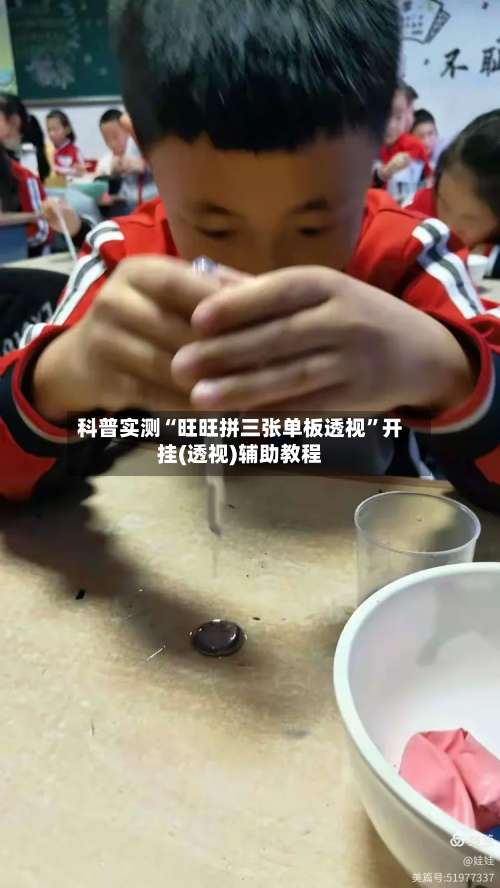 科普实测“旺旺拼三张单板透视	”开挂(透视)辅助教程-第2张图片