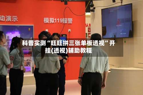 科普实测“旺旺拼三张单板透视	”开挂(透视)辅助教程-第1张图片