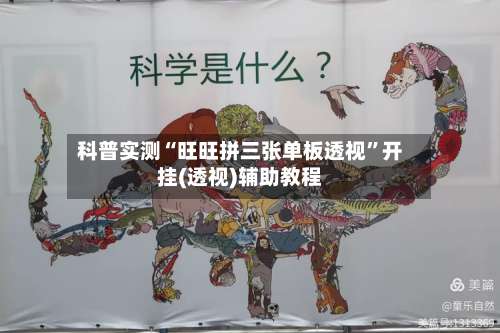 科普实测“旺旺拼三张单板透视”开挂(透视)辅助教程-第3张图片