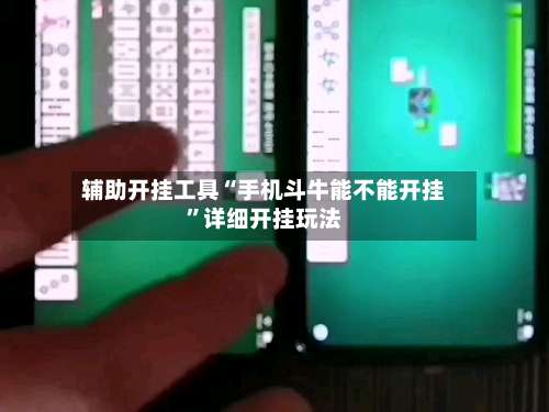 辅助开挂工具“手机斗牛能不能开挂”详细开挂玩法-第3张图片