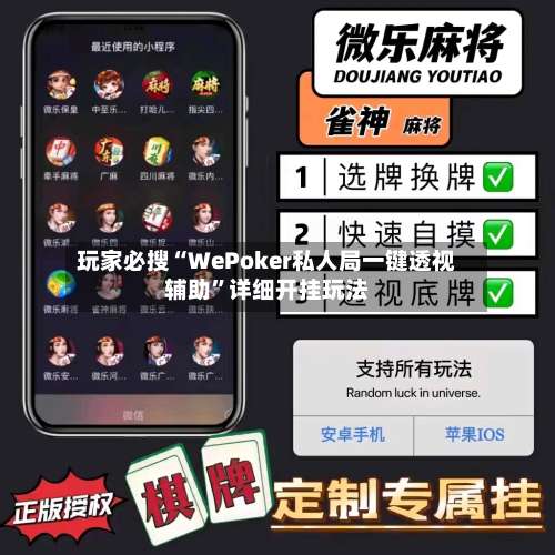 玩家必搜“WePoker私人局一键透视辅助”详细开挂玩法-第2张图片
