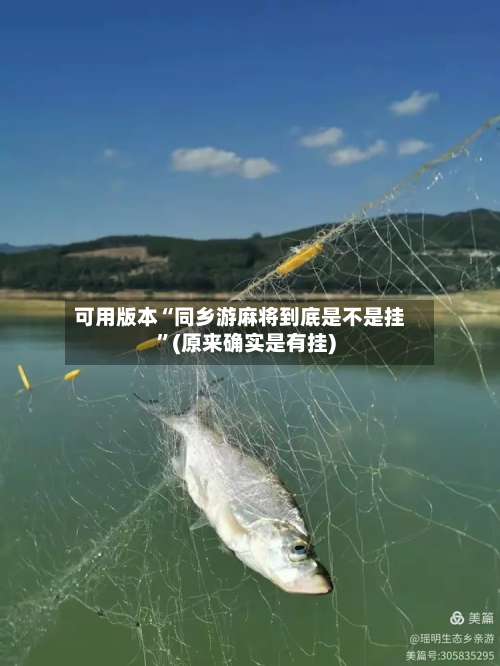 可用版本“同乡游麻将到底是不是挂		”(原来确实是有挂)-第1张图片