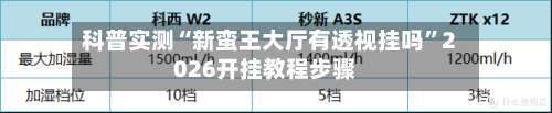 科普实测“新蛮王大厅有透视挂吗”2026开挂教程步骤-第2张图片