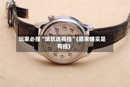 玩家必搜“填坑透视挂”(原来确实是有挂)-第1张图片