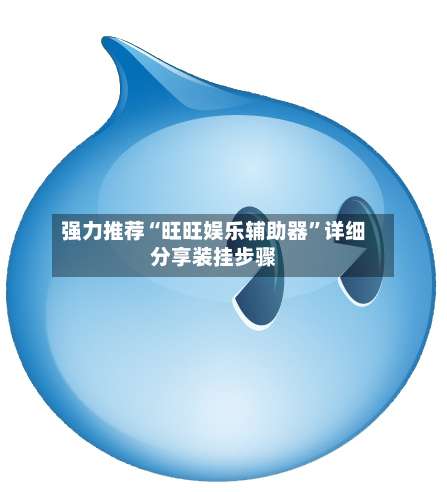强力推荐“旺旺娱乐辅助器	”详细分享装挂步骤-第1张图片
