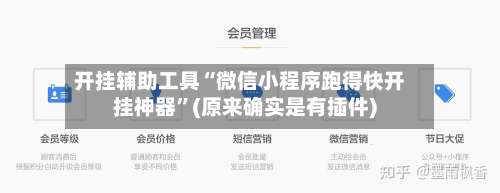 开挂辅助工具“微信小程序跑得快开挂神器	”(原来确实是有插件)-第2张图片