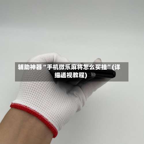 辅助神器“手机微乐麻将怎么买挂”(详细透视教程)-第2张图片