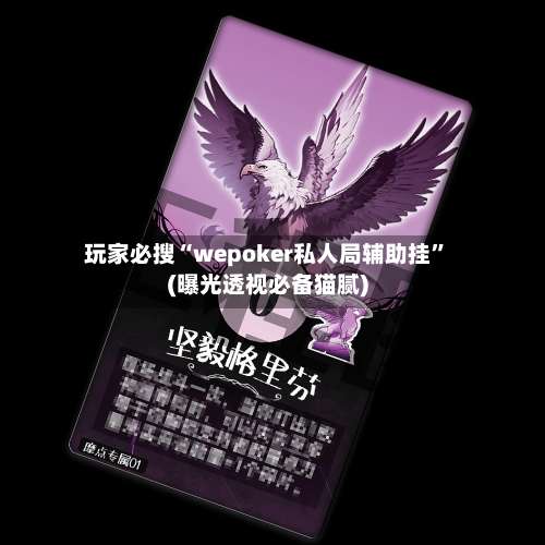 玩家必搜“wepoker私人局辅助挂”(曝光透视必备猫腻)-第2张图片