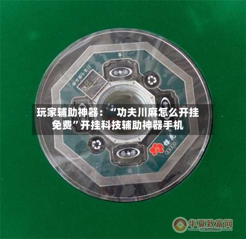 玩家辅助神器：“功夫川麻怎么开挂免费”开挂科技辅助神器手机-第3张图片