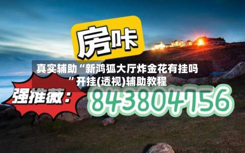 真实辅助“新鸿狐大厅炸金花有挂吗	”开挂(透视)辅助教程-第2张图片
