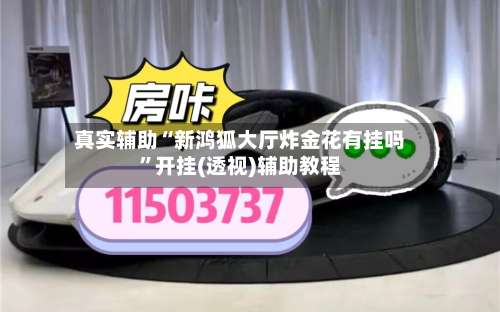 真实辅助“新鸿狐大厅炸金花有挂吗	”开挂(透视)辅助教程-第1张图片
