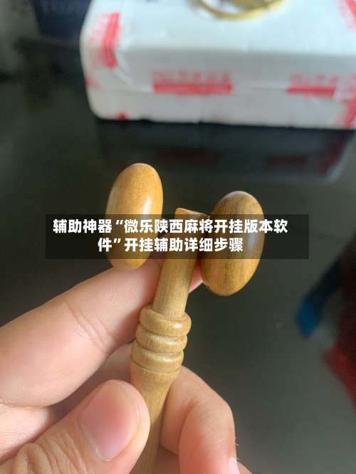 辅助神器“微乐陕西麻将开挂版本软件”开挂辅助详细步骤-第3张图片
