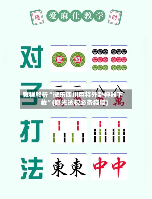教程解析“微乐四川麻将外卦神器下载		”(曝光透视必备猫腻)-第2张图片