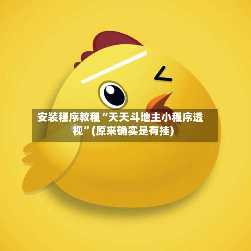 安装程序教程“天天斗地主小程序透视”(原来确实是有挂)-第1张图片