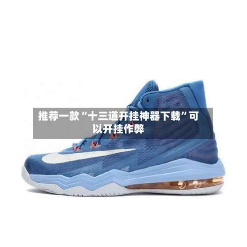 推荐一款“十三道开挂神器下载	”可以开挂作弊-第2张图片