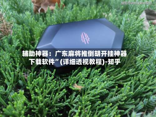 辅助神器：广东麻将推倒胡开挂神器下载软件	”(详细透视教程)-知乎-第1张图片