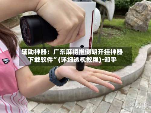 辅助神器：广东麻将推倒胡开挂神器下载软件	”(详细透视教程)-知乎-第2张图片