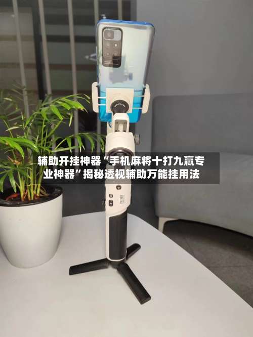 辅助开挂神器“手机麻将十打九赢专业神器	”揭秘透视辅助万能挂用法-第1张图片