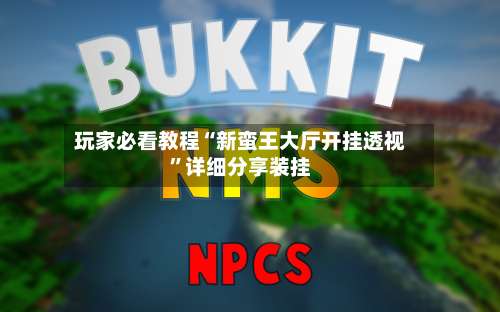 玩家必看教程“新蛮王大厅开挂透视	”详细分享装挂-第2张图片