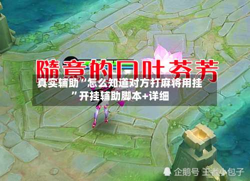 真实辅助“怎么知道对方打麻将用挂”开挂辅助脚本+详细-第1张图片