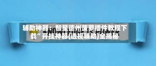 辅助神器：智星德州菠萝插件教程下载”开挂神器{透视辅助}全揭秘-第2张图片