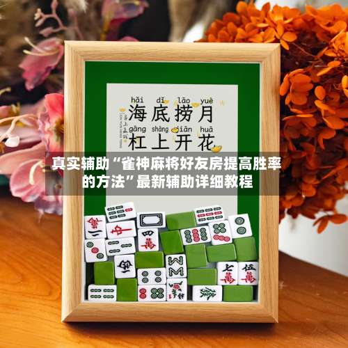 真实辅助“雀神麻将好友房提高胜率的方法		”最新辅助详细教程-第2张图片
