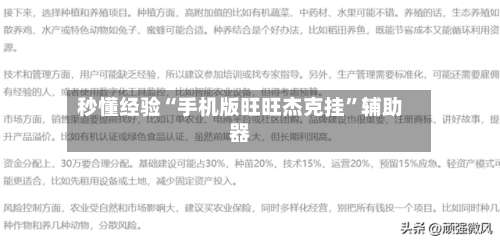秒懂经验“手机版旺旺杰克挂”辅助器-第1张图片
