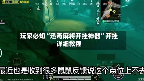 玩家必知“迅奇麻将开挂神器	”开挂详细教程-第2张图片