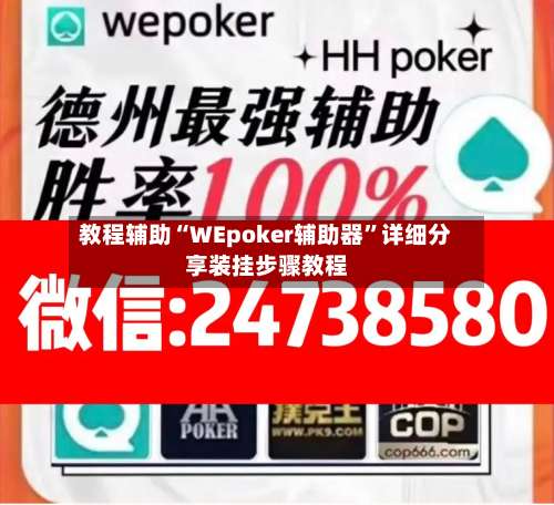 教程辅助“WEpoker辅助器”详细分享装挂步骤教程-第3张图片
