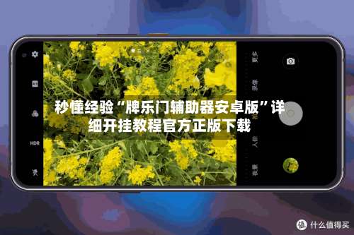 秒懂经验“牌乐门辅助器安卓版		”详细开挂教程官方正版下载-第2张图片