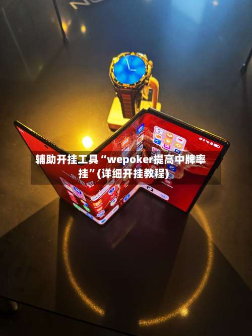 辅助开挂工具“wepoker提高中牌率挂	”(详细开挂教程)-第1张图片